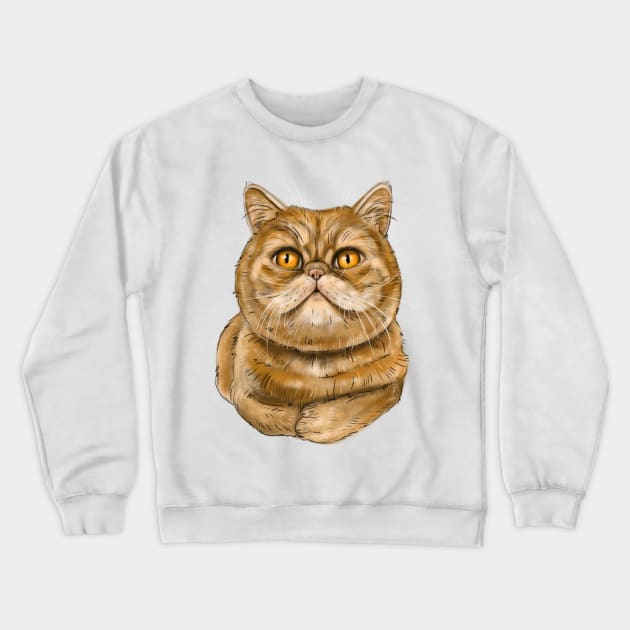 Exotic Shorthair cat Crewneck Sweatshirt by Kingroad